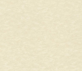 Обои Rasch Wall Textures XL vol.2 964813